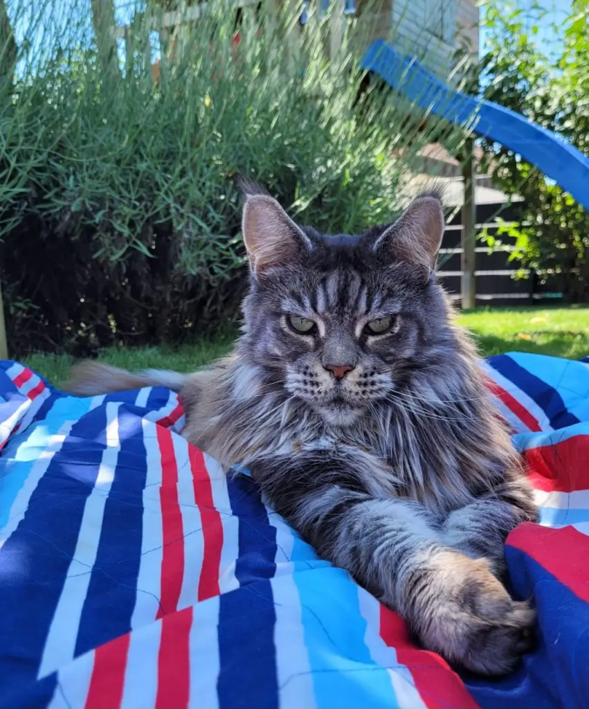 Andachtsbild von Andrea mit Lilly