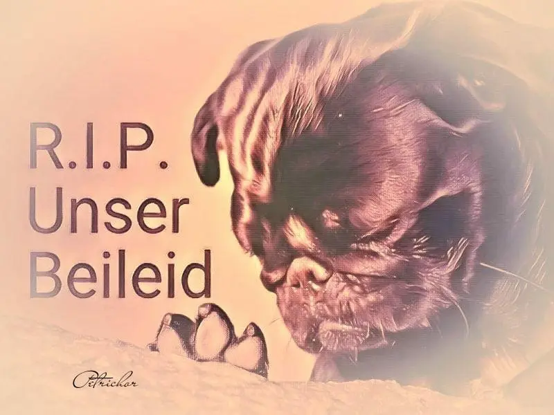 Condolence image of Astrid Grothe