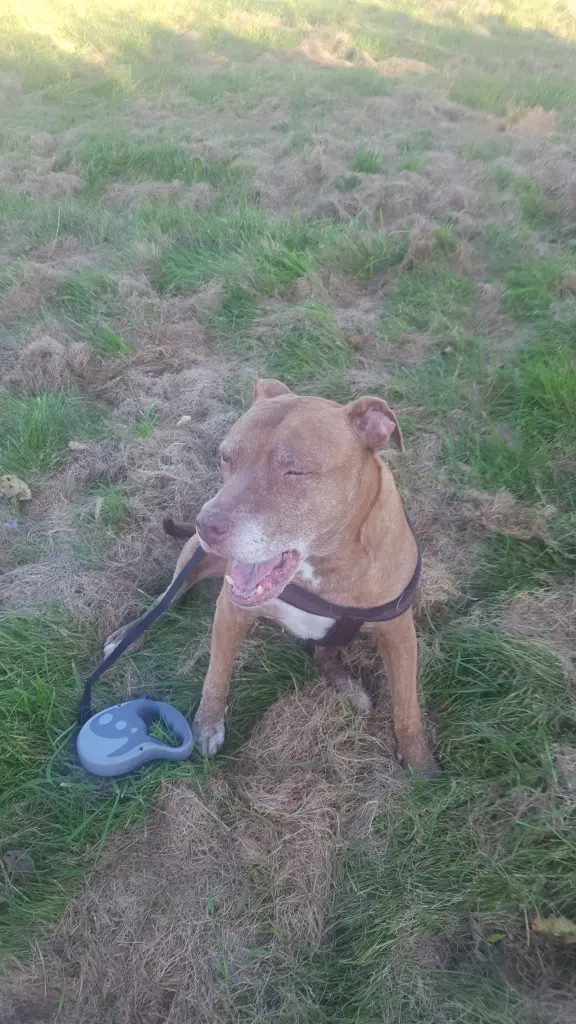 Condolence image of Manu mit Louisa im Herzen