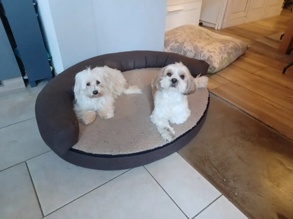 Andachtsbild von Pia