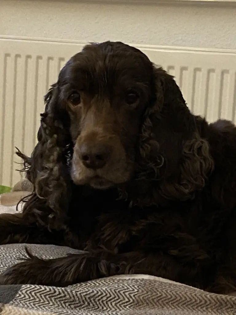 Andachtsbild von Kerstin mit Linus im ❤️