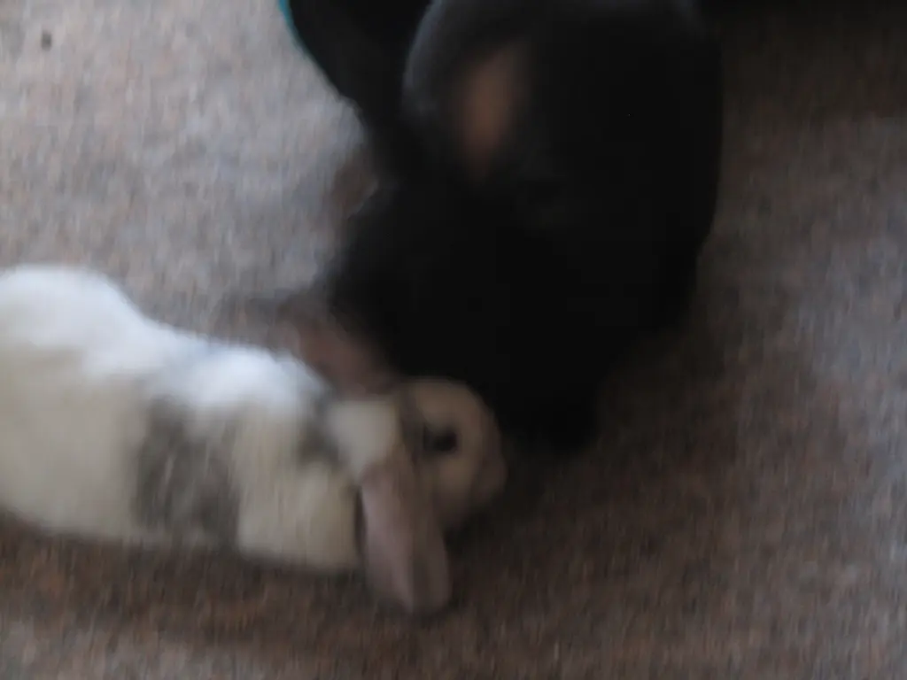 Condolence image of Lydia