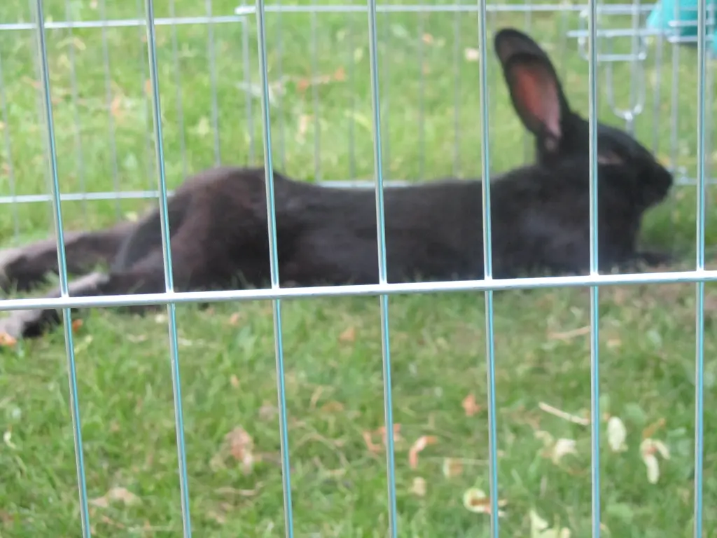 Condolence image of Lydia