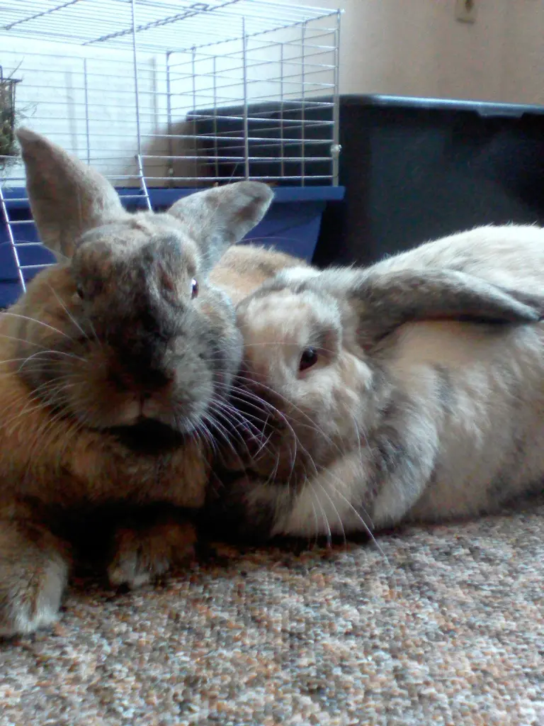 Condolence image of Unbekannt