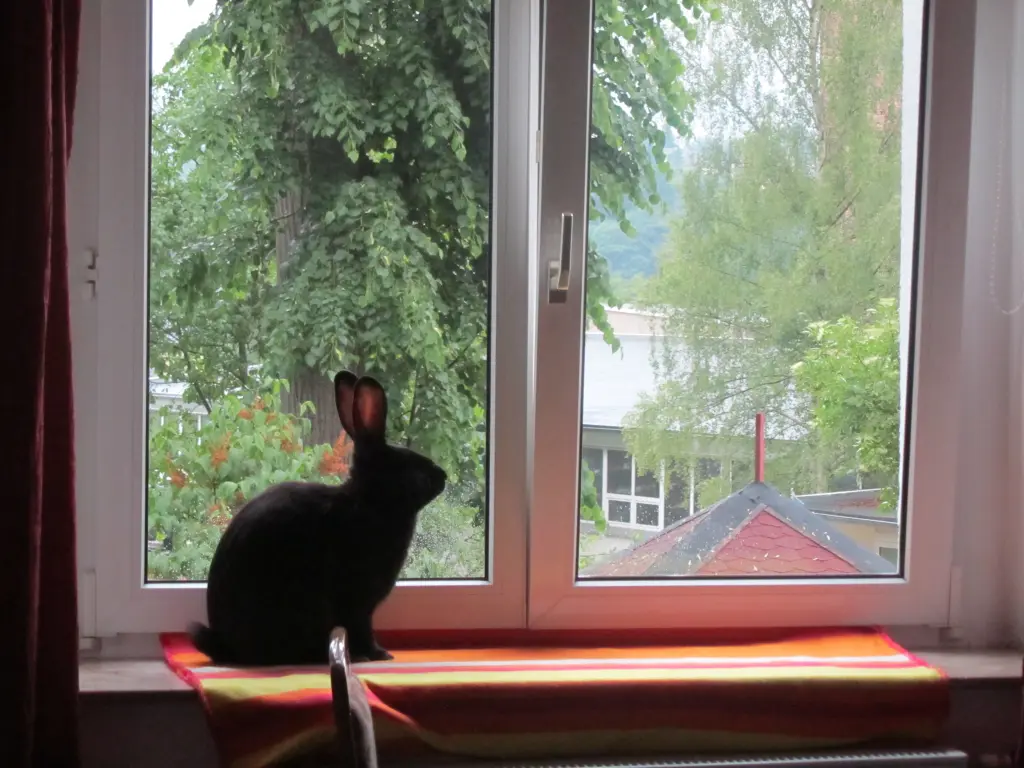 Condolence image of Deine Frau, Kind und Lydia