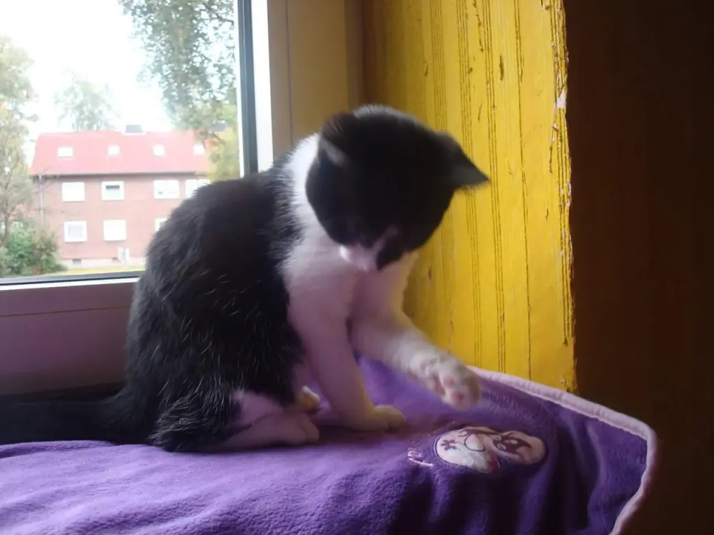 Condolence image of Heike