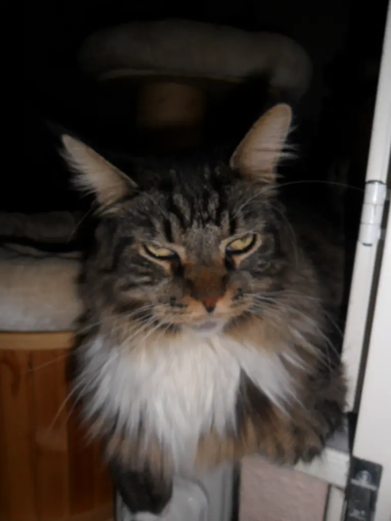 Condolence image of Roswitha