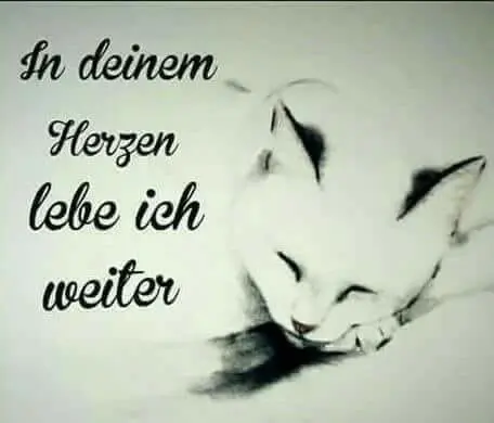 Condolence image of Linda mit Pünktchen im Herzen 