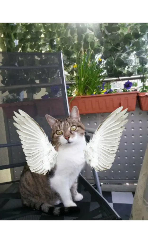 Condolence image of Birgit