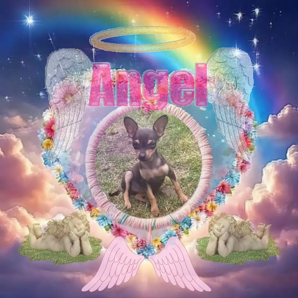 Andachtsbild von Fur Bellchen❤️⭐️🐕🐾🐾🌹🌹🌹🌹