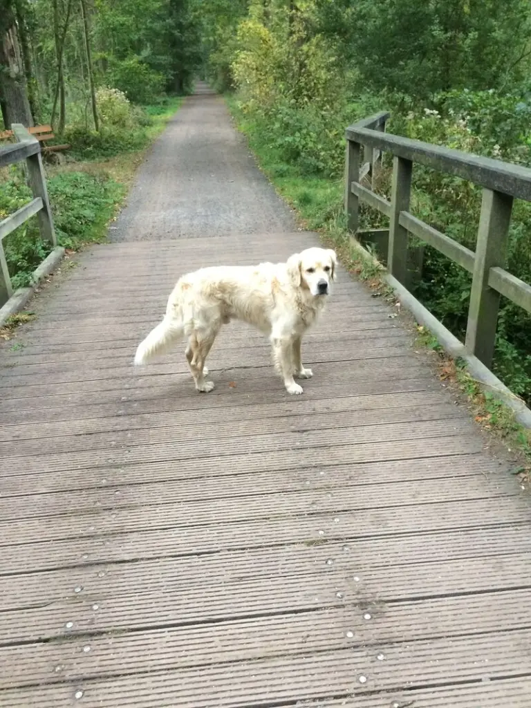 Condolence image of Andy und Piet 