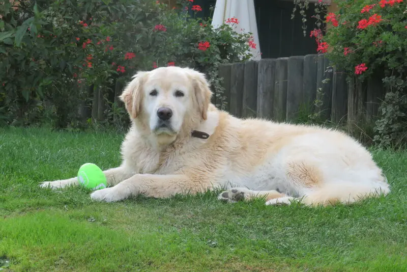 Andachtsbild von Peter & Christa