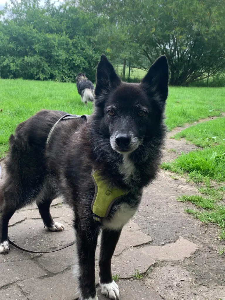 Bild von Fiore und Gemellina