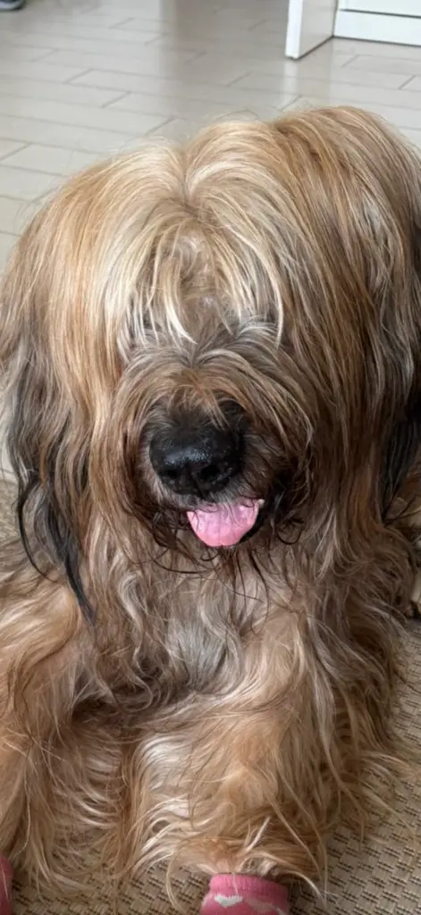 Andachtsbild von Sabine und Klaus