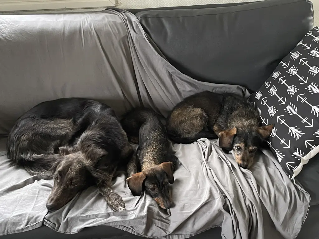 Andachtsbild von Dieter & Petra