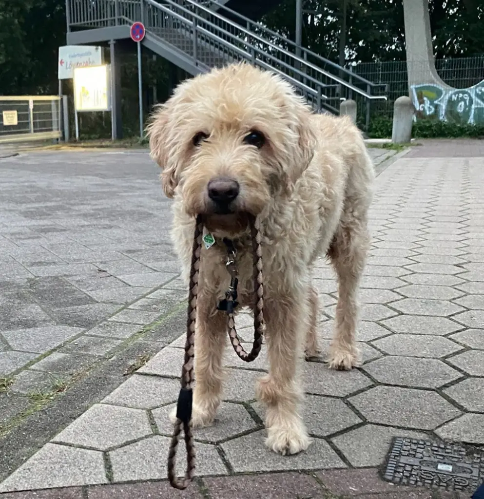 Bild von Fabo