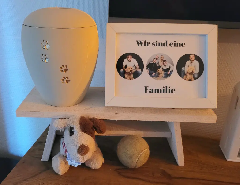 Bild von Fabo
