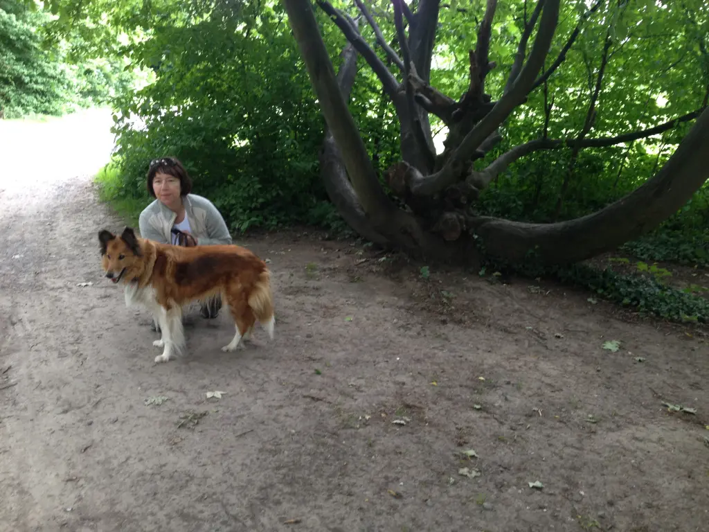 Condolence image of Katharina mit Merle im Herzen