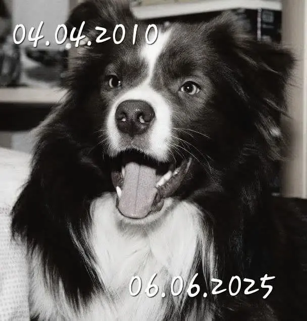 Andachtsbild von Anett Meinecke