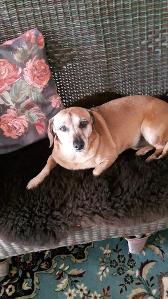 Andachtsbild von Jamille Wright