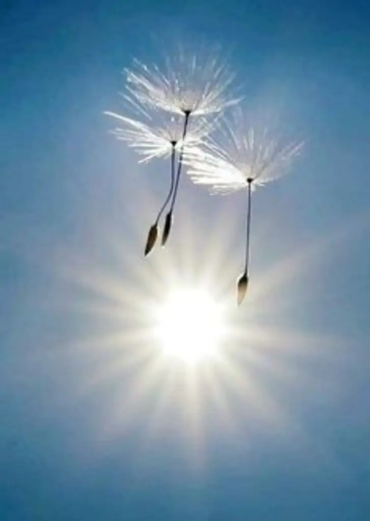 Andachtsbild von Weiterhin ganz viel Kraft und alles Liebe ❤️