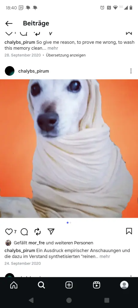 Andachtsbild von Mika