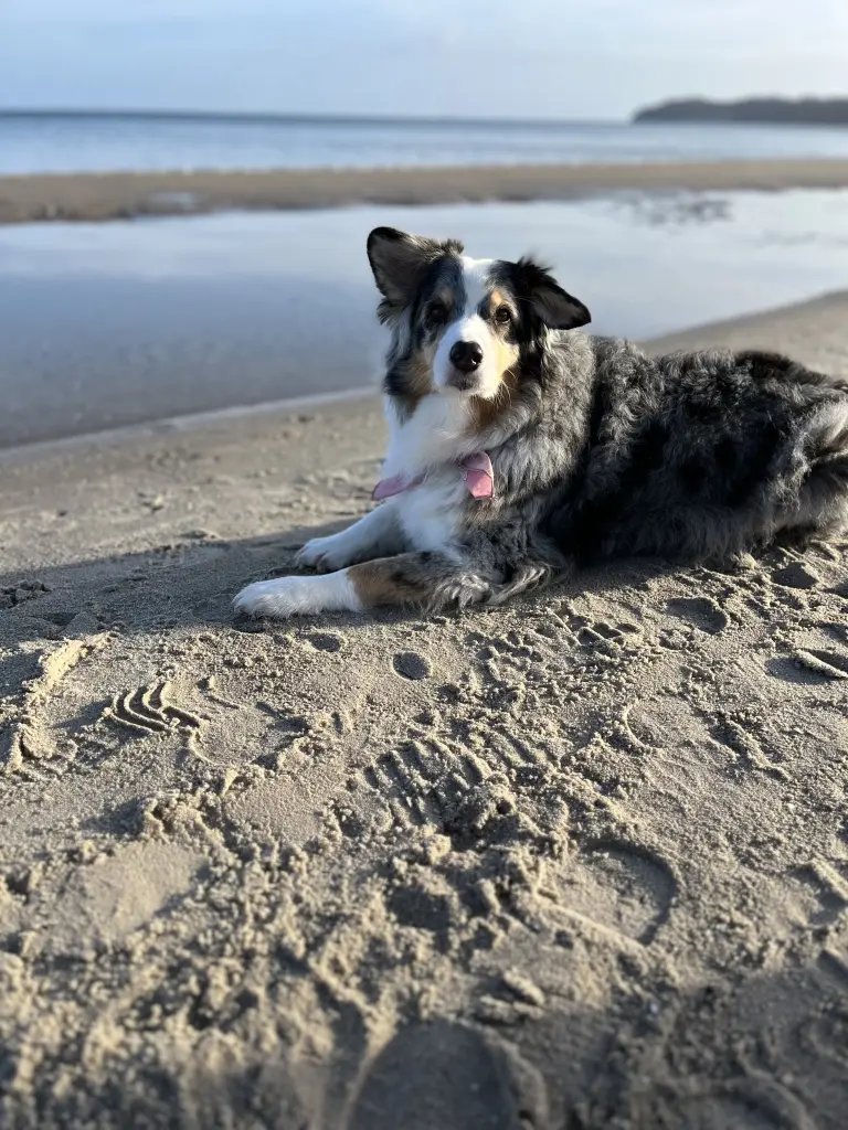 Andachtsbild von Julia Hoge