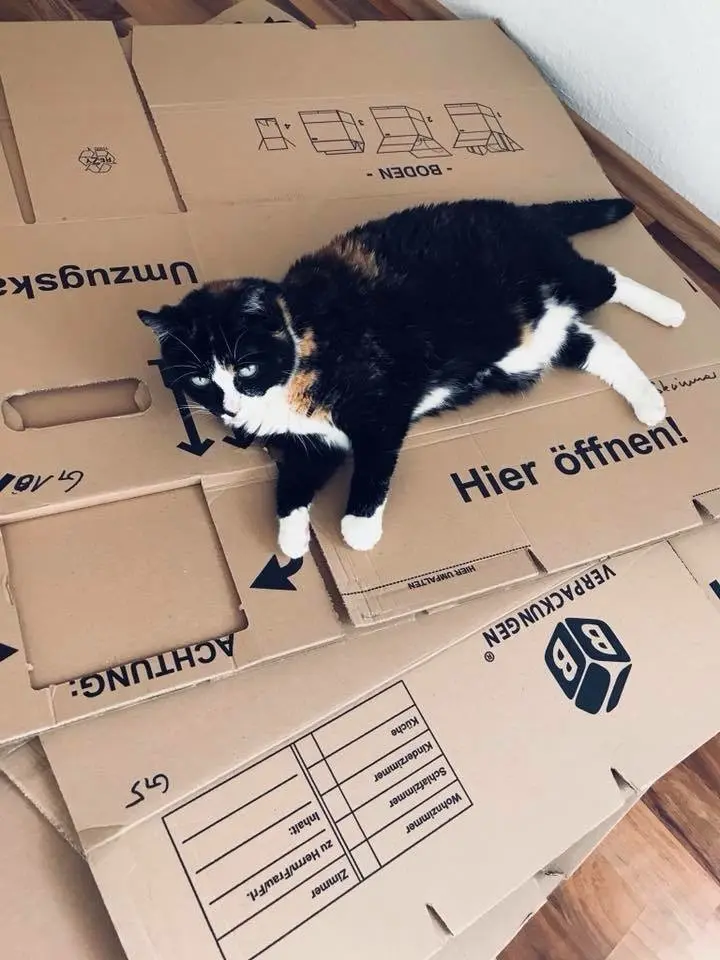 Condolence image of Julia