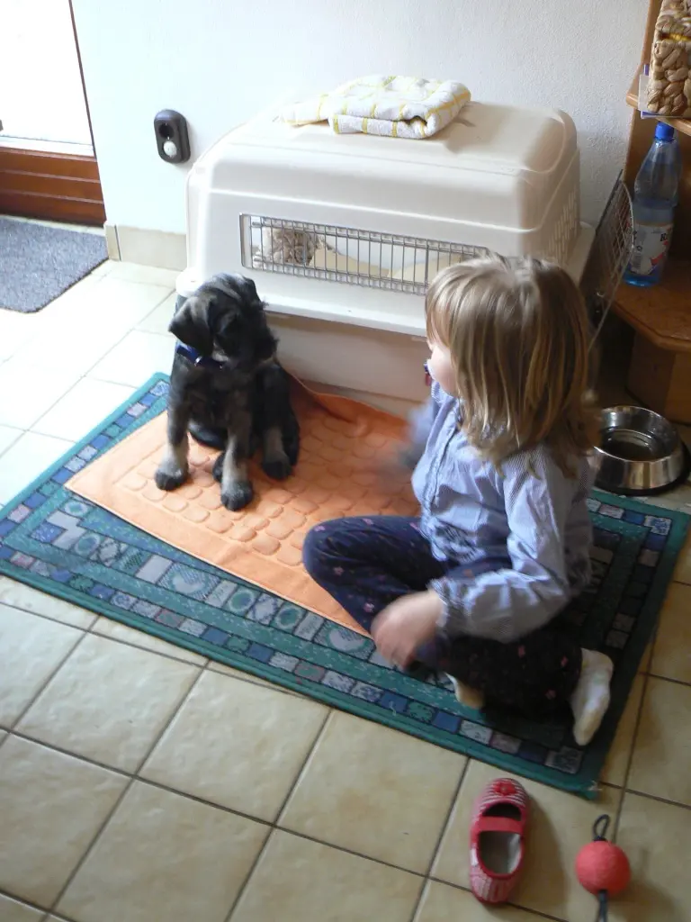 Buddy + Alessia
3 Monate