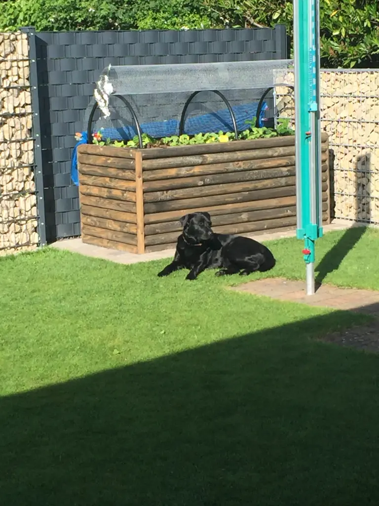 Andachtsbild von Jil & Marie-Rose & Mike