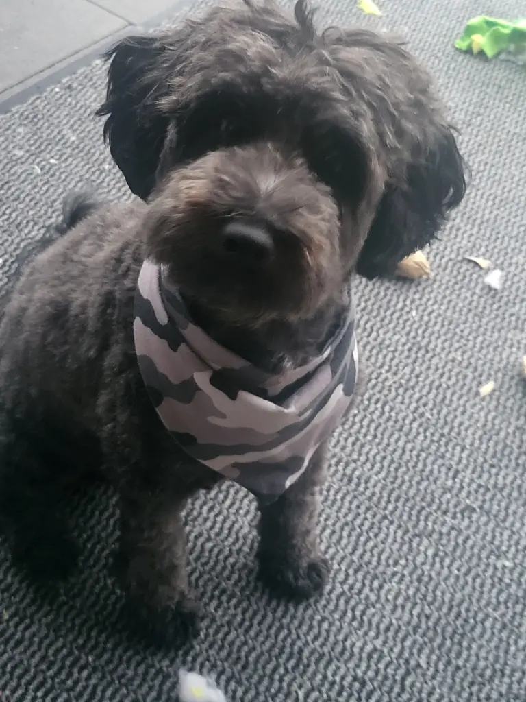 Andachtsbild von Sybille