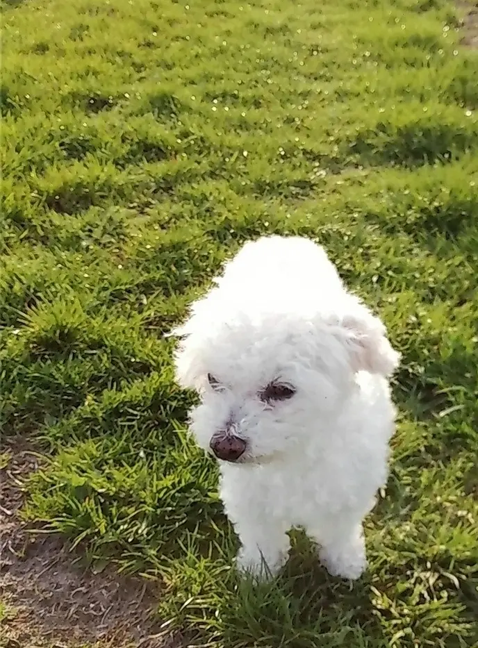 Andachtsbild von Gaby mit  ♡☙Snowy☙♡