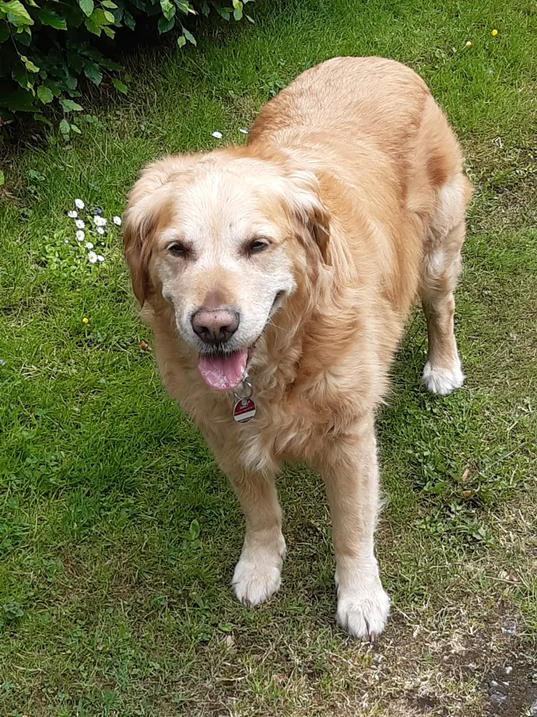 Andachtsbild von Edeltraud Flechtner