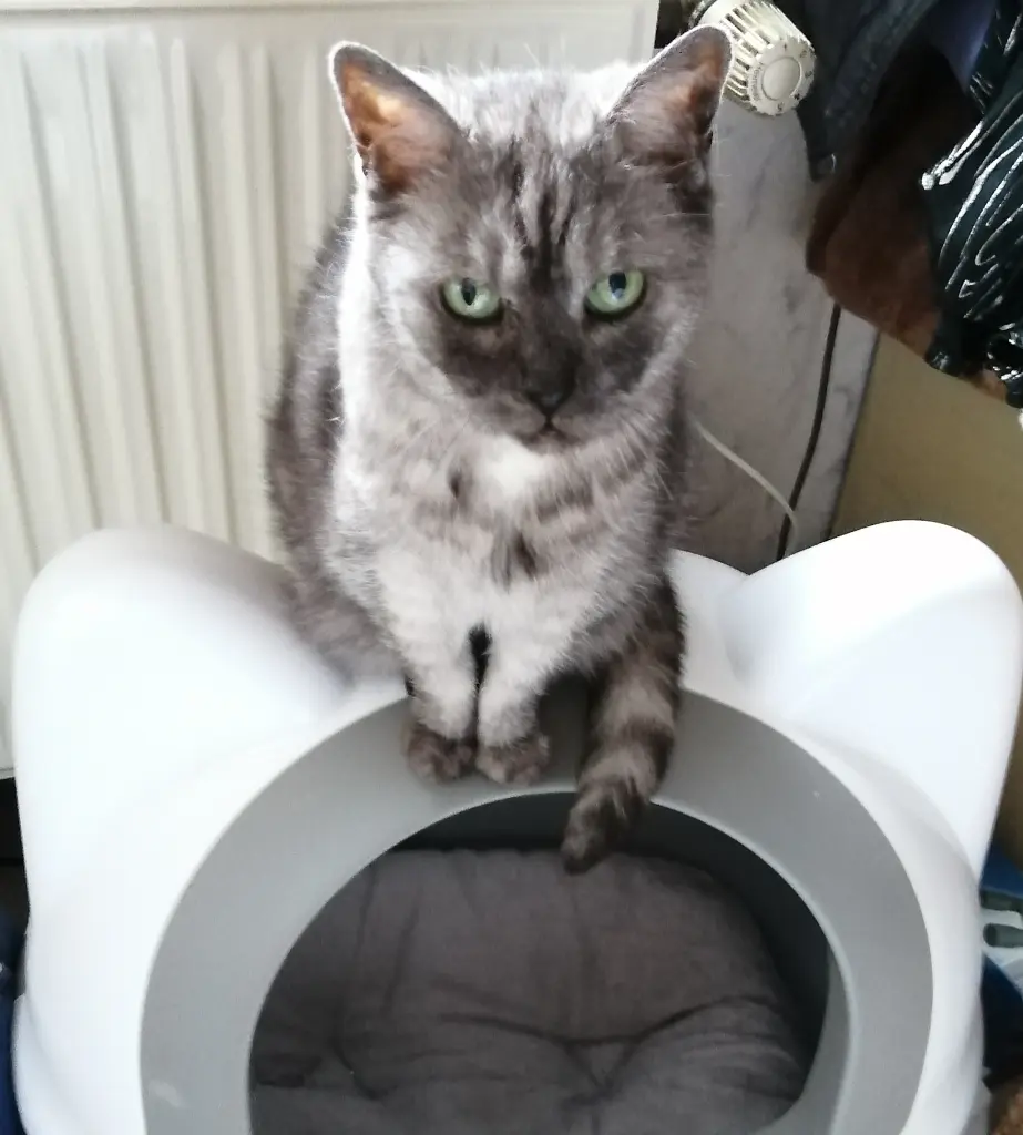 Kuschel Höhle von oben