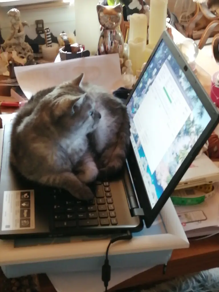 Kontrolle ob alles richtig ist