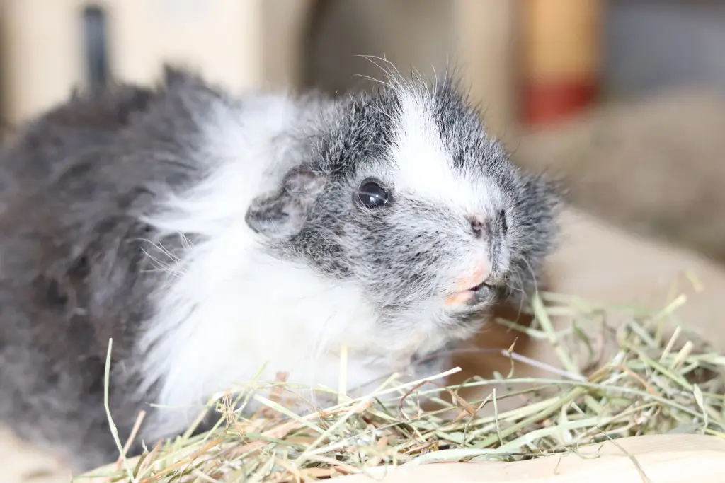 Condolence image of Unbekannt