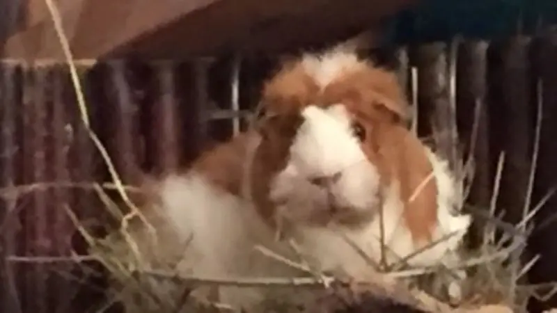 Condolence image of Marcus und Melanie