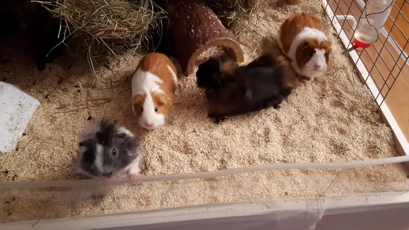 Condolence image of Marcus und Melanie