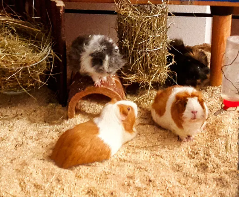 Condolence image of Marcus und Melanie