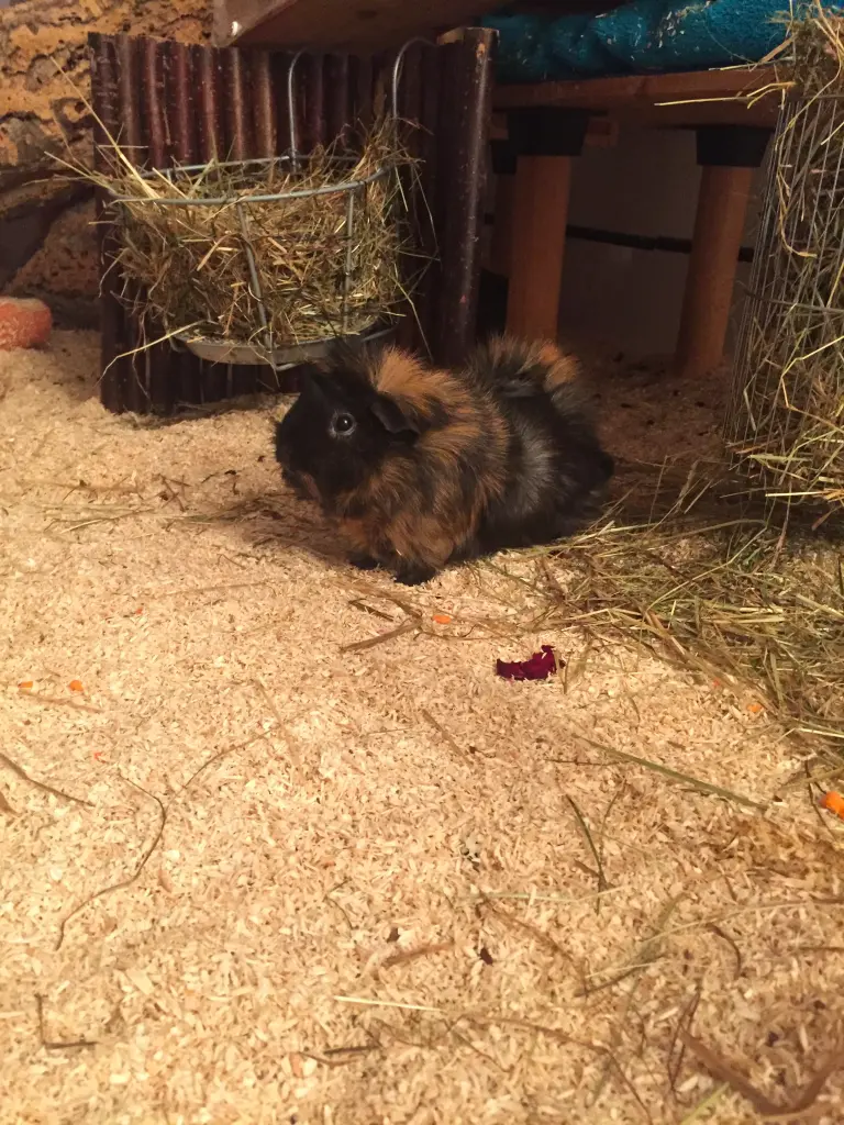 Condolence image of Marcus und Melanie