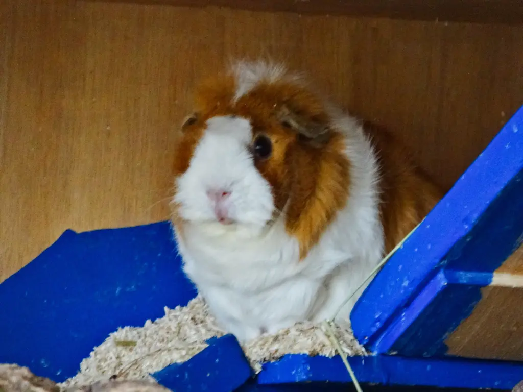 Condolence image of Marcus und Melanie