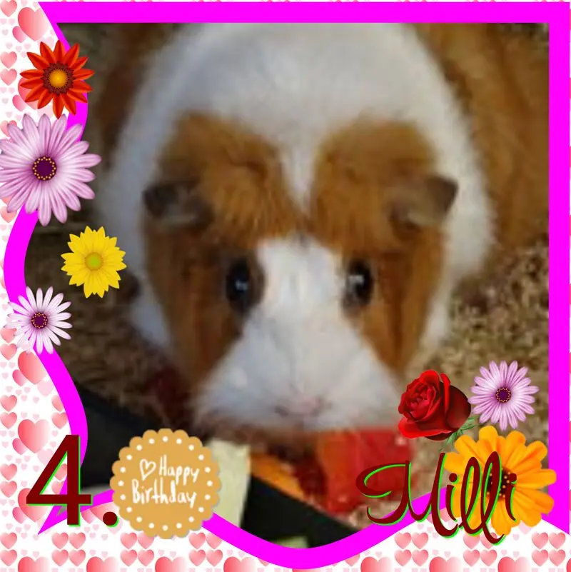 Condolence image of ❤Eike und Edeltraud mit unseren Sternchen tief im Herzen ❤ 