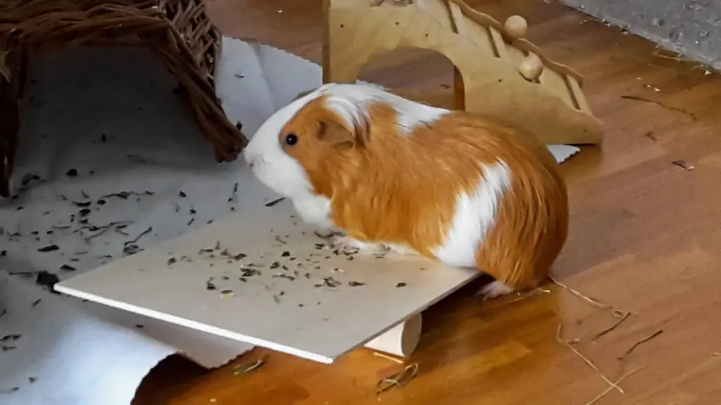 Condolence image of Marcus und Melanie