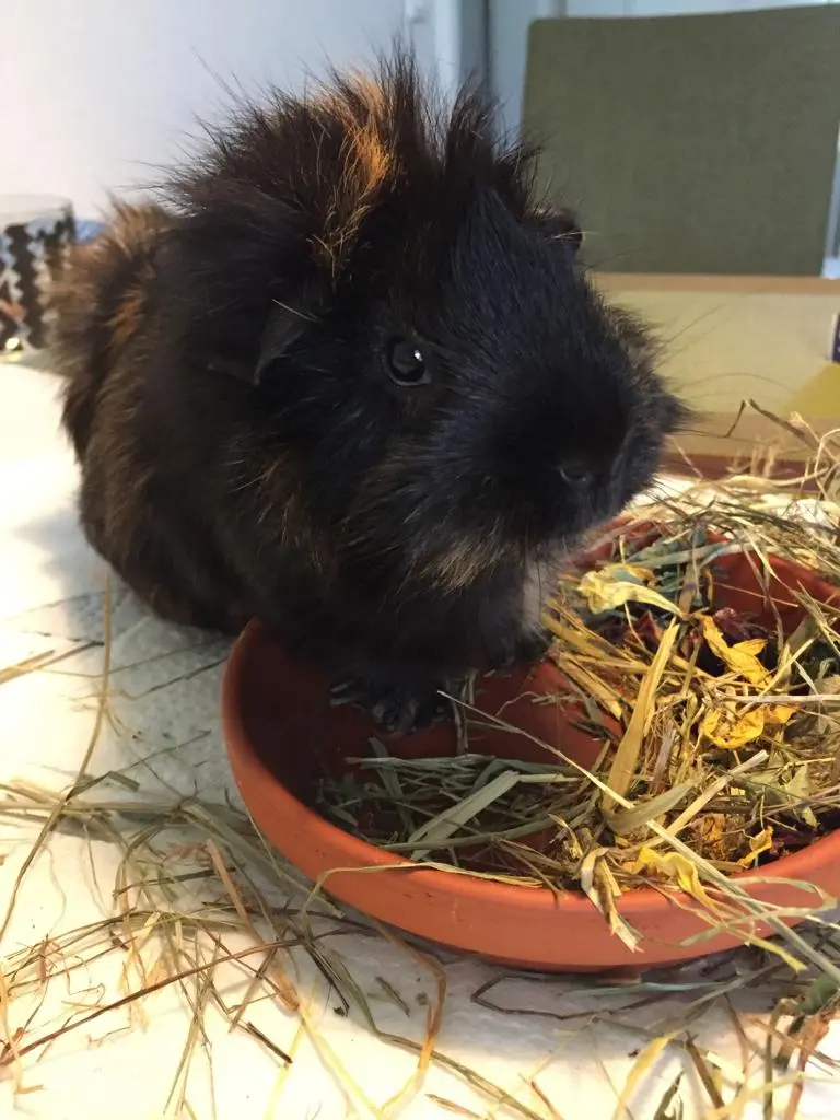 Condolence image of Marcus & Melanie