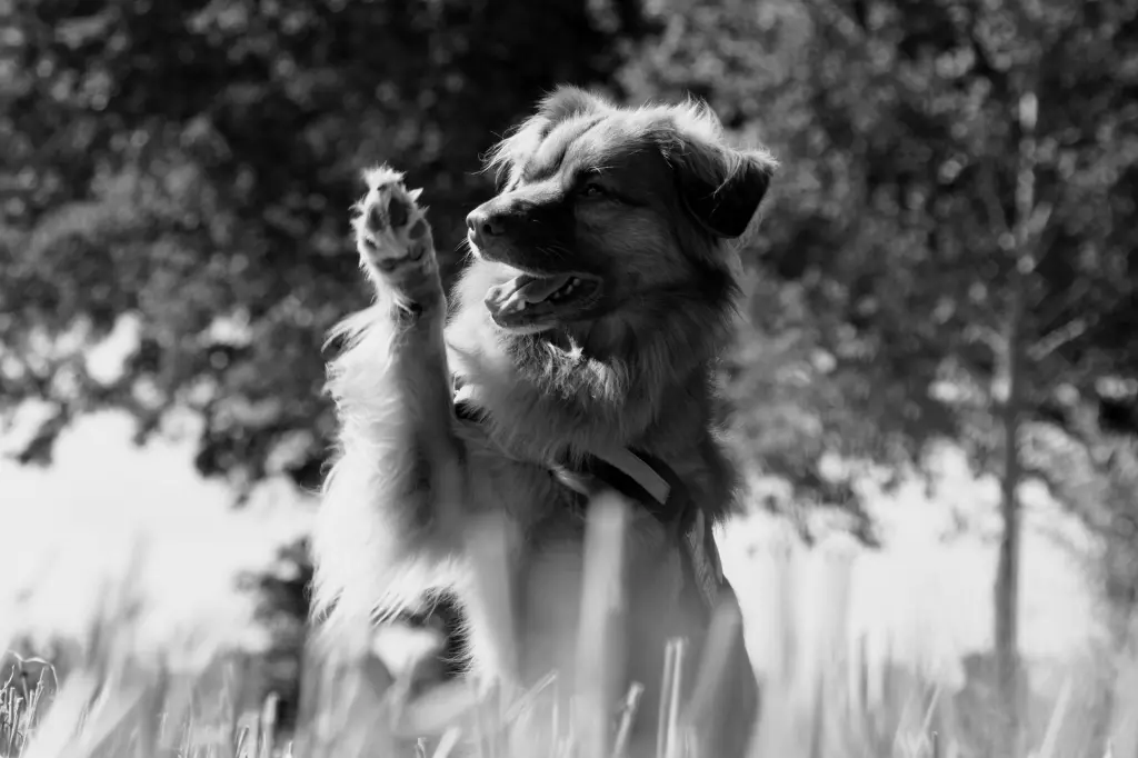 Andachtsbild von Kevin Hinrichs