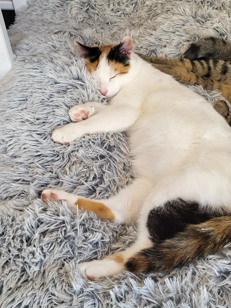 Andachtsbild von Deine Mama