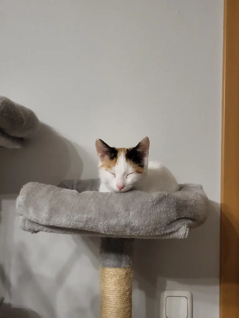 Andachtsbild von Deine Mama