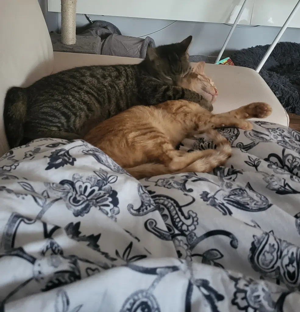 Andachtsbild von Deine Mama