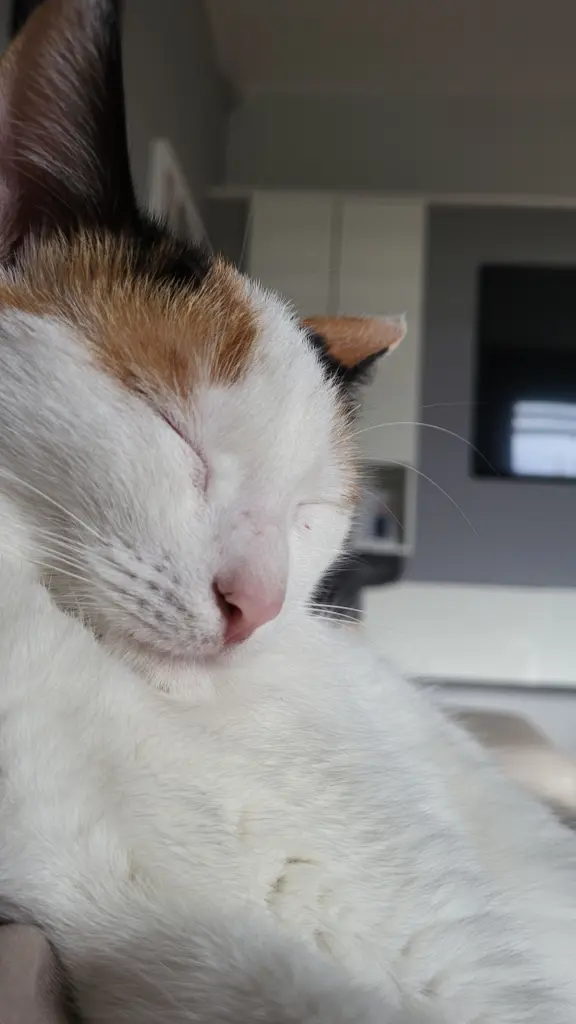 Andachtsbild von Deine Mama