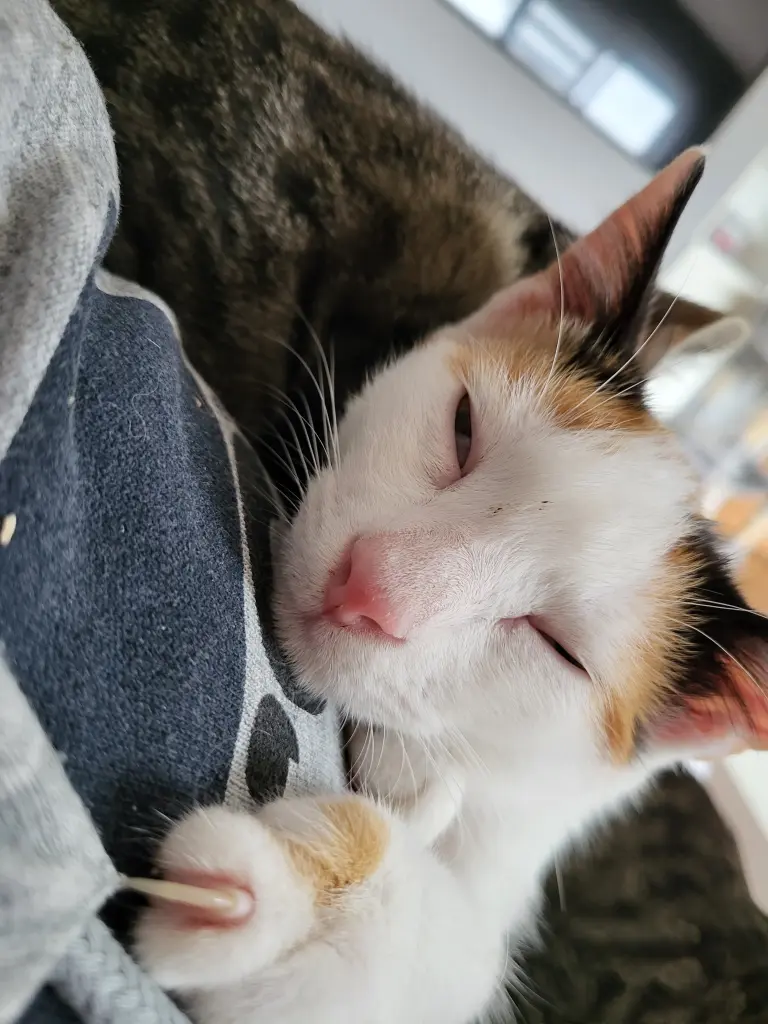 Andachtsbild von Deine Mama